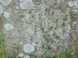 image of grave number 552043